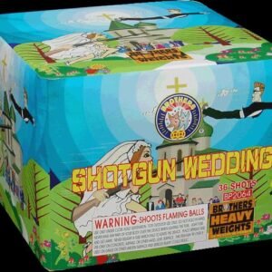 SHOTGUN WEDDING 33 SHOTS (CASE) 4/1