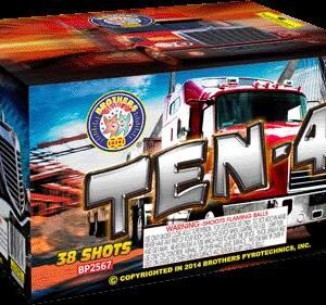 TEN-4 38 SHOT (CASE) 12/1