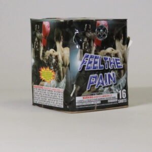 FEEL THE PAIN 16 shots (CASE) 24/1