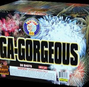 GIGA-GORGEOUS 500G (CASE) 4/1