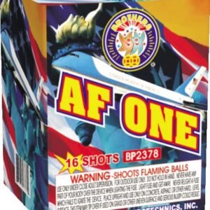 AF ONE 16 SHOT (CASE) 24/1