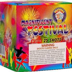 MAGNIFICENT FESTIVAL 25 SHOT (MILLENNIUM FESTIVAL) (CASE) 12/1