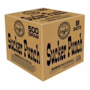 Sucker Punch 9 shots (CASE) 6/1
