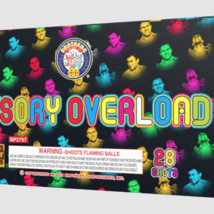 SENSORY OVERLORD 28 SHOT (CASE) 4/1